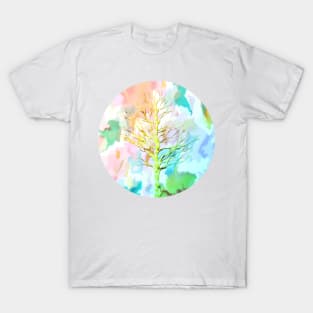 Abstraction with a Tree T-Shirt